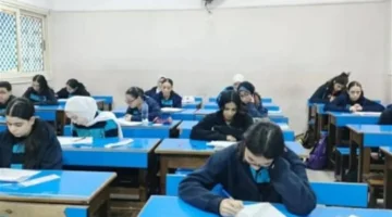 استعلام شامل درجات مليون طالب على بوابة التعليم الأساسي بالقاهرة